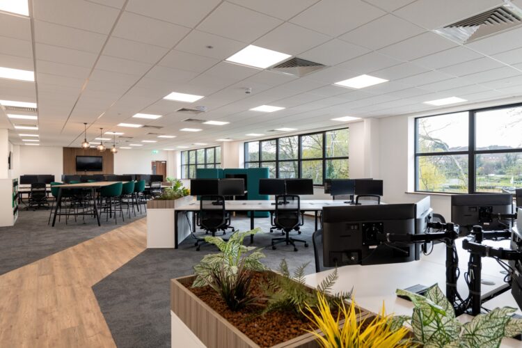 An open plan office space created within a new industrial warehouse for Albion Fine Foods.