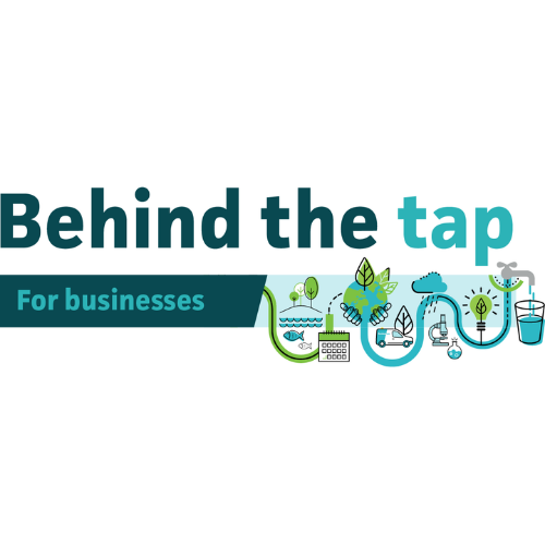 Logo of South East Water's dedicated newsletter for businesses with the words 'behind the tap for businesses'